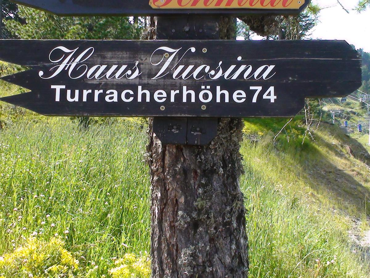 维西纳公寓 Turracher Hohe 外观 照片